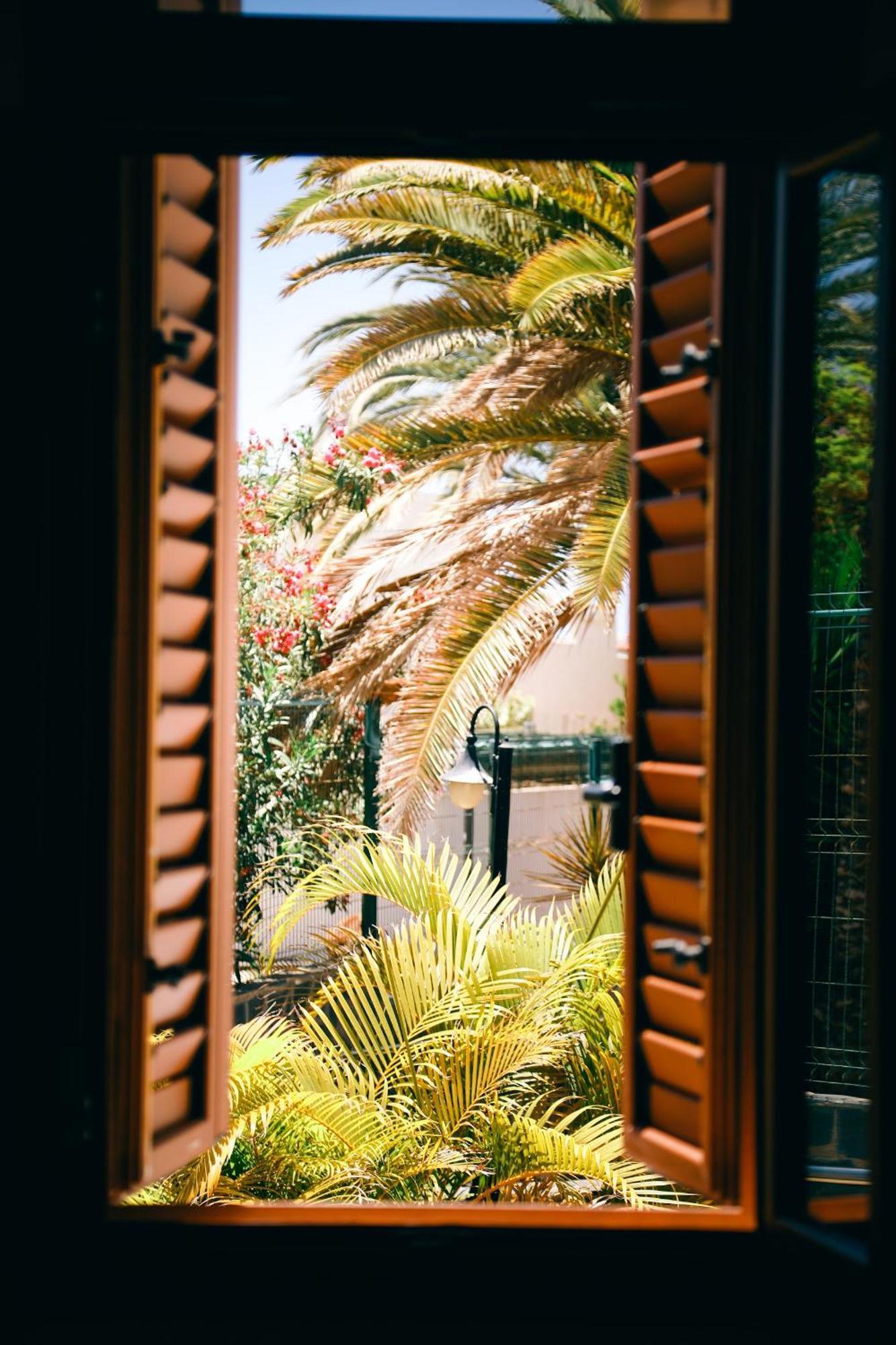 Virginia Apartment Playa de las Americas  Exterior photo
